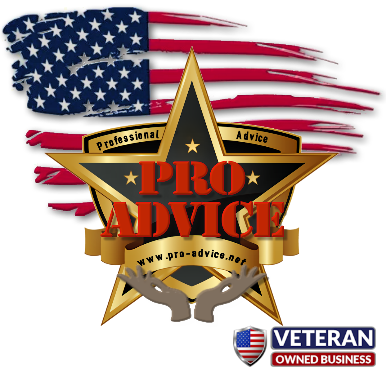 Professional Advice LLC